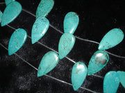 Howlite (Dyed)